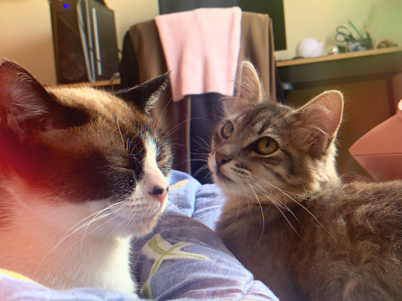 Imagem 3 da galeria do anúncio: Quarto próximo estação Ana Rosa