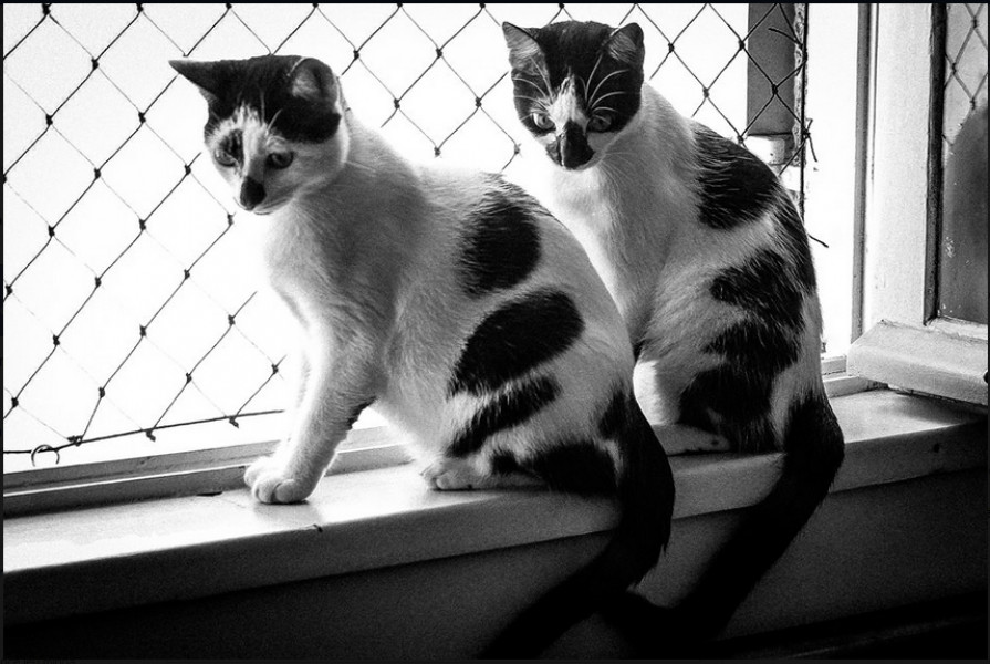 Imagem 18 da galeria do anúncio: Alugo quarto-Bonfim/ Alquiler de habitación/ Renting a room