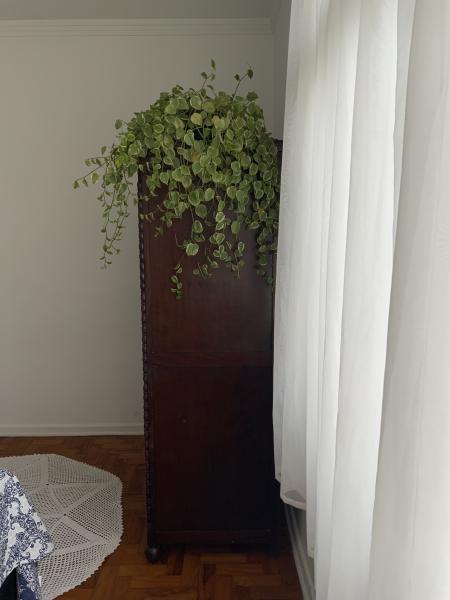 Imagem 6 da galeria do anúncio: Quarto privativo em apto familiar exclusivo para mulheres