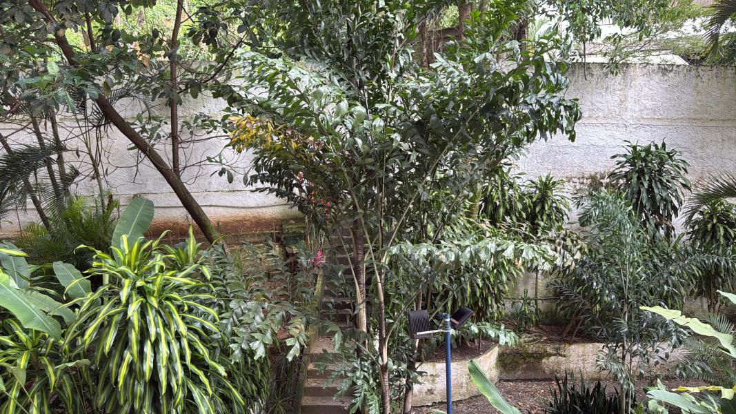 Imagem 12 da galeria do anúncio: Alugo Vagas no Ingá para Moças Universitárias