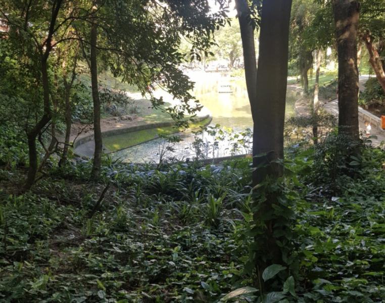 Imagem 1 da galeria do anúncio: Quarto Grande em Laranjeiras com Laje