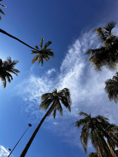 Imagem 5 da galeria do anúncio: Quarto Grande em Laranjeiras com Laje