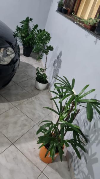 Imagem 3 da galeria do anúncio: Moradia para Profissionais e Estudantes de sexo FEMININO