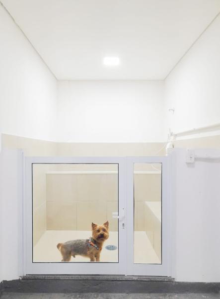 Imagem 25 da galeria do anúncio: Apartamento com 1 Quarto para alugar, 44m² - Vila Buarque