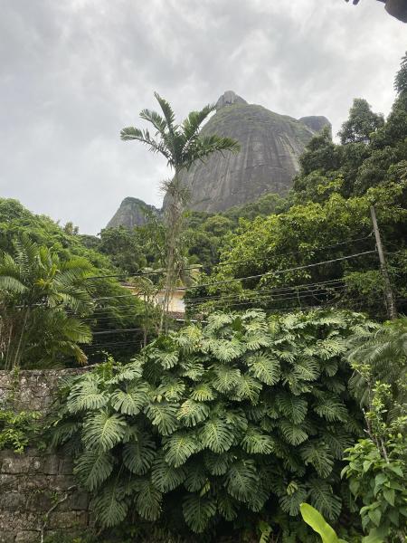 Imagem 2 da galeria do anúncio: Experience Rio no Conforto da Natureza