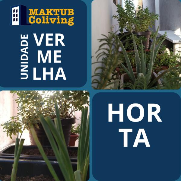 Imagem 8 da galeria do anúncio: Sua casa fora de Casa Maktub Coliving Moradia