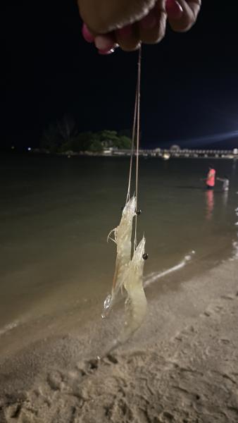 Imagem 17 da galeria do anúncio: Quarto em Coqueiros