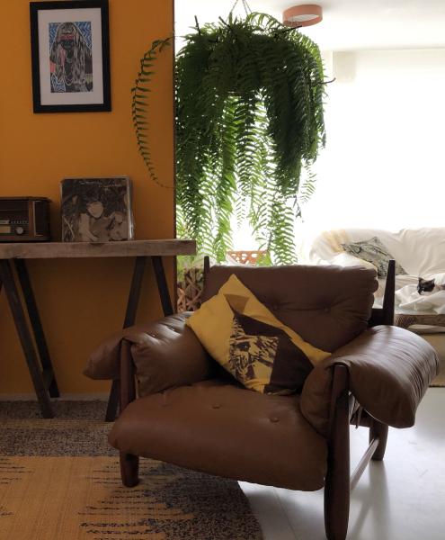 Imagem 1 da galeria do anúncio: Conforto,seguranca e ambiente acolhedor.