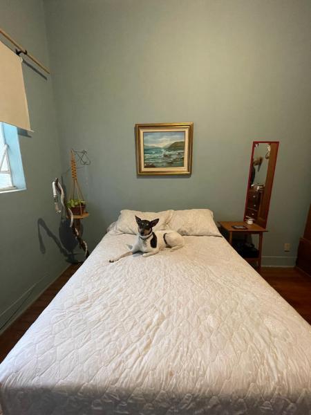 Imagem 1 da galeria do anúncio: Quarto mobiliado na Lapa