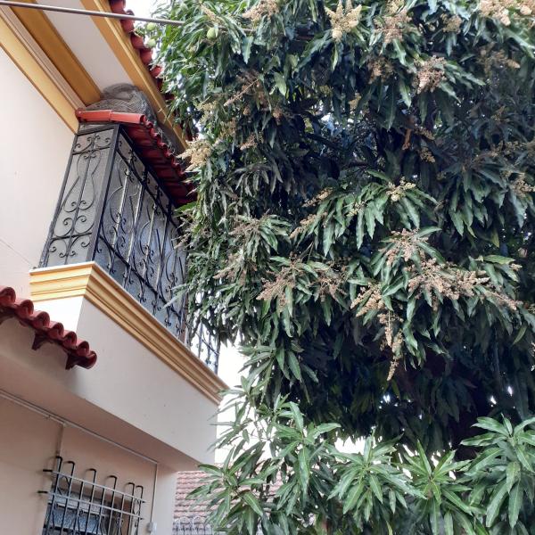 Imagem 19 da galeria do anúncio: Quarto individual - UERJ / HUPE / Hosp. Jesus