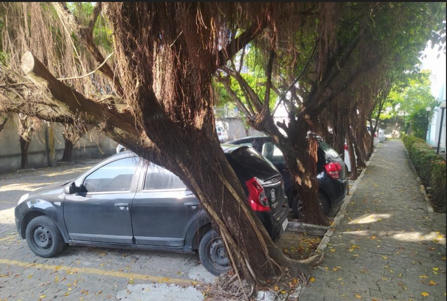 Imagem 2 da galeria do anúncio: LOCAÇÃO DE QUARTO EM BOA VIAGEM