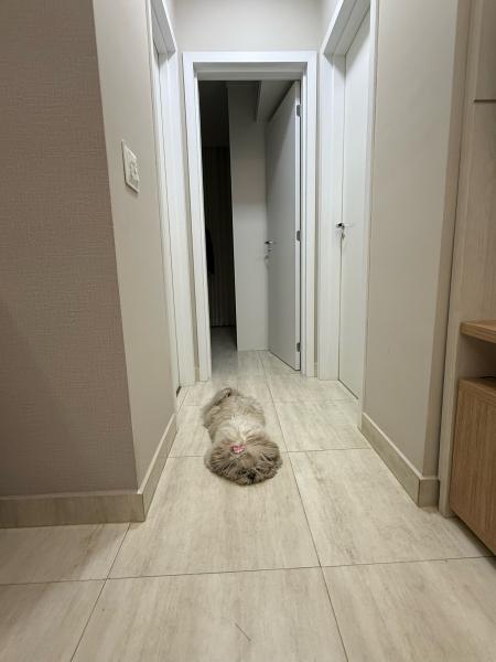 Imagem 10 da galeria do anúncio: Quarto Palmares - proximo ao Minas Shopping