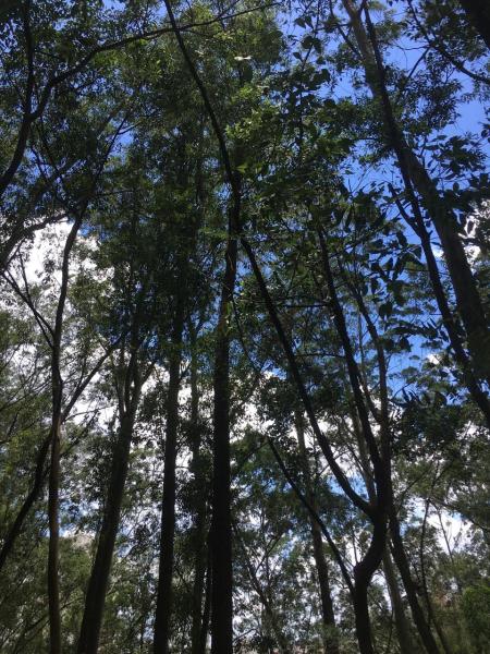 Imagem 10 da galeria do anúncio: aluga se qurtona região vila andrade  morumbi perro do metro