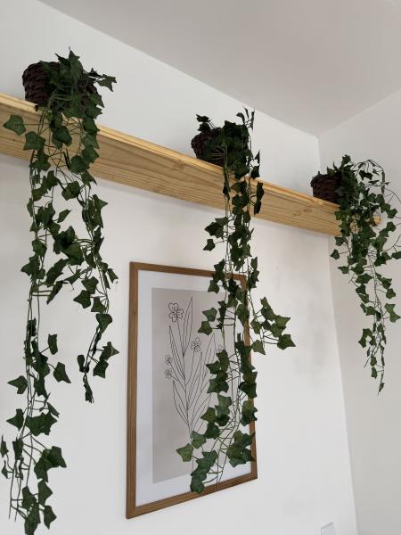 Imagem 2 da galeria do anúncio: Quarto de casal decorado - Itaim Bibi