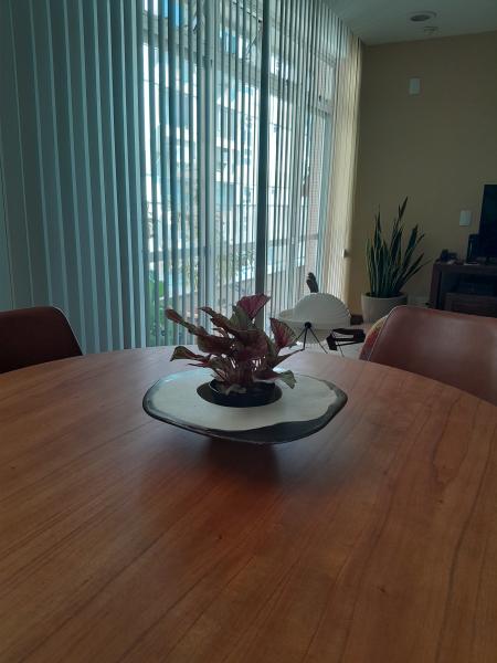 Imagem 11 da galeria do anúncio: Suite no lugar mas seguro, charmoso e calmo do Rio: Lagoa!