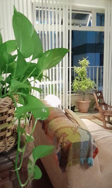 Imagem 8 da galeria do anúncio: Suite no lugar mas seguro, charmoso e calmo do Rio: Lagoa!