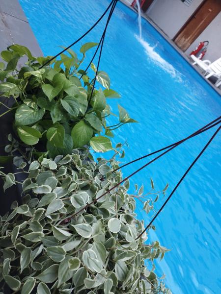 Imagem 16 da galeria do anúncio: ALOJAMENTOS PRA EMPRESAS