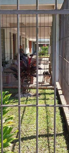 Imagem 3 da galeria do anúncio: apartamento pra estudante.