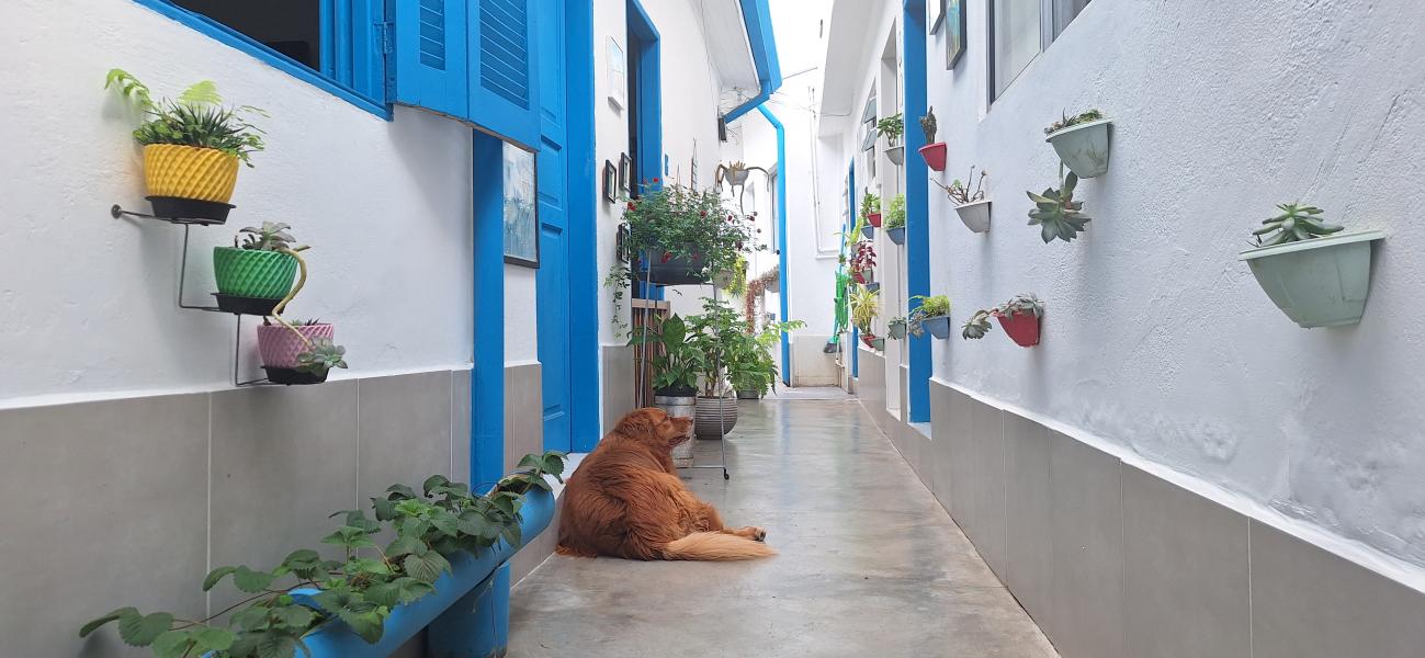 Imagem 15 da galeria do anúncio: QUARTO INDIVIDUAL. ÓTIMA LOCALIZAÇÃO PINHEIROS METRO FARIA L