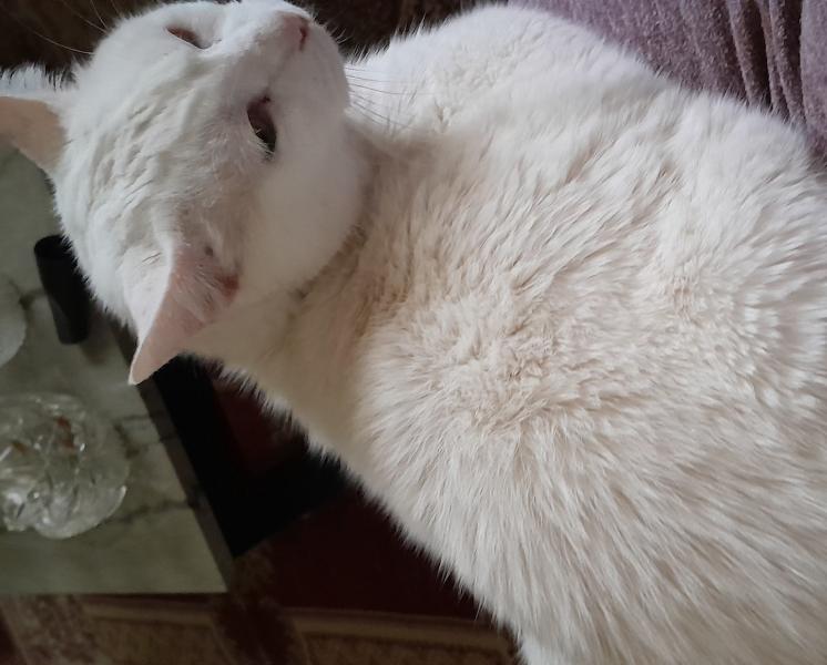 Imagem 8 da galeria do anúncio: Aluguel Quarto Individual. - SOMENTE PARA MULHERES