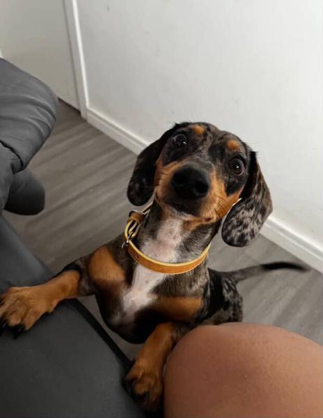 Imagem 5 da galeria do anúncio: 🏠 📍zona leste de SP.