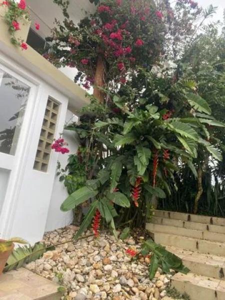 Imagem 2 da galeria do anúncio: Quarto Centro Beira-mar Shopping