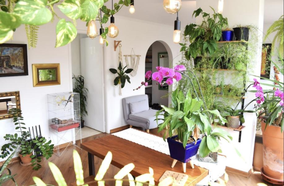 Imagem 6 da galeria do anúncio: Lindo dormitório nos jardins apartamento todo mobiliado