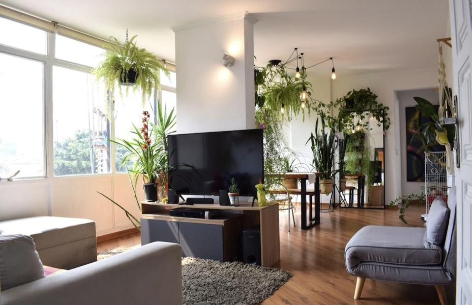 Imagem 1 da galeria do anúncio: Lindo dormitório nos jardins apartamento todo mobiliado