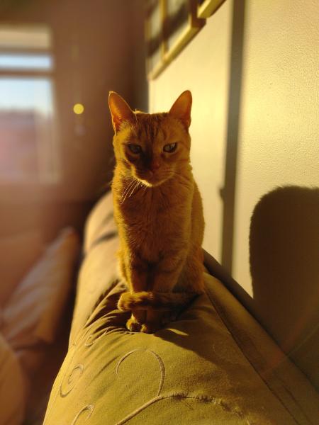 Imagem 5 da galeria do anúncio: Quarto Mobiliado