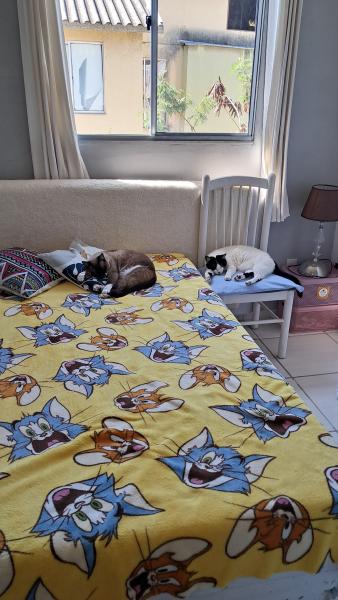 Imagem 1 da galeria do anúncio: aluguel de quarto