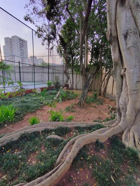 Imagem 12 da galeria do anúncio: Alugo apartamento