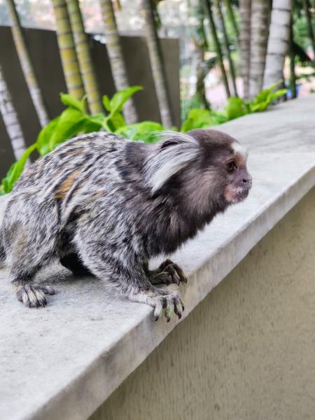 Imagem 14 da galeria do anúncio: Alugo apartamento