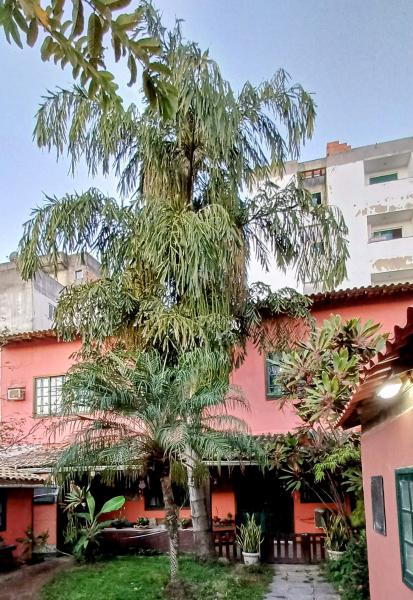 Imagem 1 da galeria do anúncio: Estúdio  Pontal