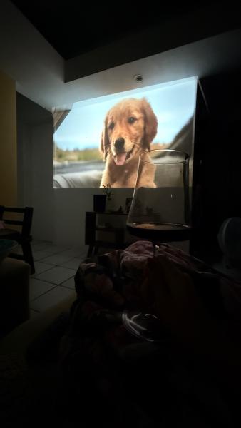 Imagem 4 da galeria do anúncio: Quarto em Boa Viagem