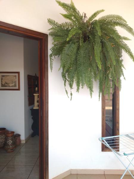 Imagem 2 da galeria do anúncio: Alugo quarto individual