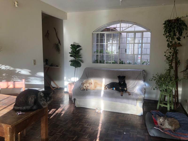 Imagem 7 da galeria do anúncio: More no Juvevê com conforto e seguranca