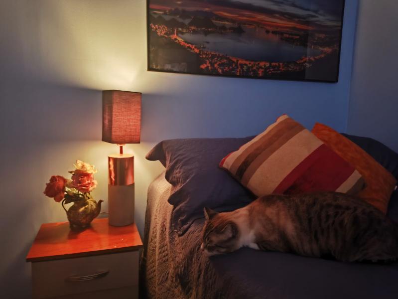 Imagem 3 da galeria do anúncio: Quarto individual  - Casa Confortável