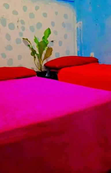 Imagem 3 da galeria do anúncio: Pensão entrige