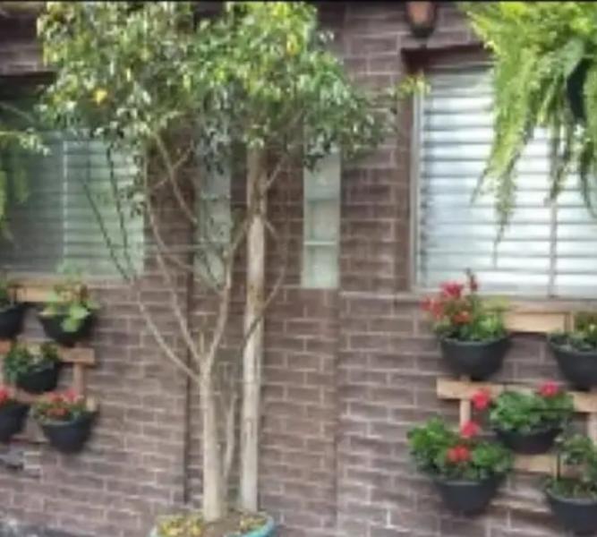 Imagem 4 da galeria do anúncio: Quartos para alugar em casa familia 11 97232 6448