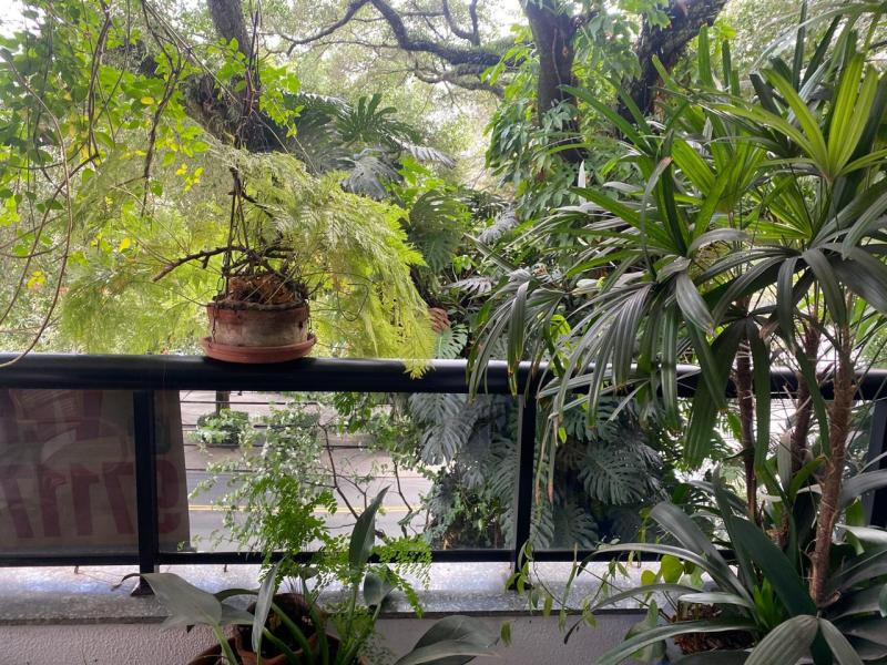 Imagem 18 da galeria do anúncio: Suite em apartamento - Panambi - com piscina