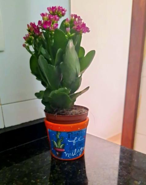 Imagem 7 da galeria do anúncio: Quarto Duplo Feminino