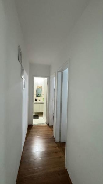 Imagem 3 da galeria do anúncio: Vaga em apê aconchegante no salgado filho em BH