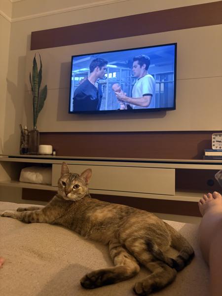 Imagem 5 da galeria do anúncio: Aluguel de quarto feminino (Não é republica)