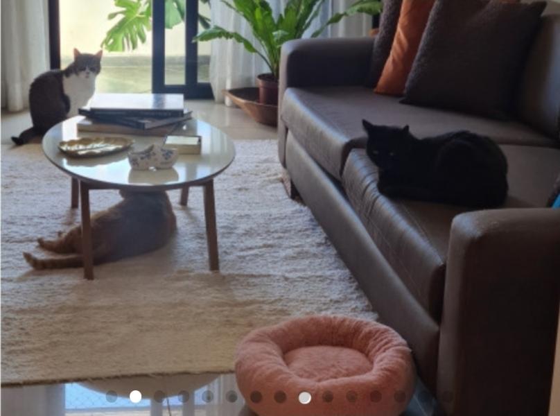 Imagem 9 da galeria do anúncio: QUARTO/MULHER/BARRA BALI/TRABALHE FORA/SEM CAUÇÃO