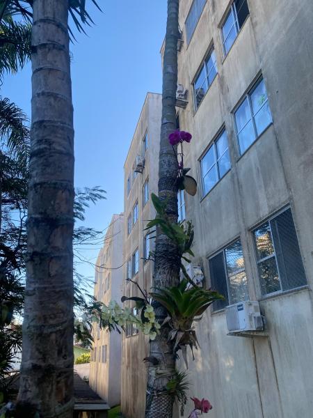 Imagem 5 da galeria do anúncio: Quarto Via Gastr Coqueiros