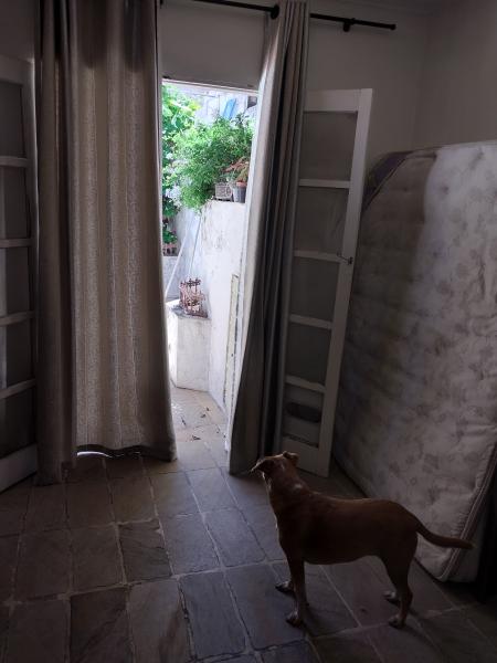 Imagem 5 da galeria do anúncio: Procuro moça estudante ou trabalhadora.