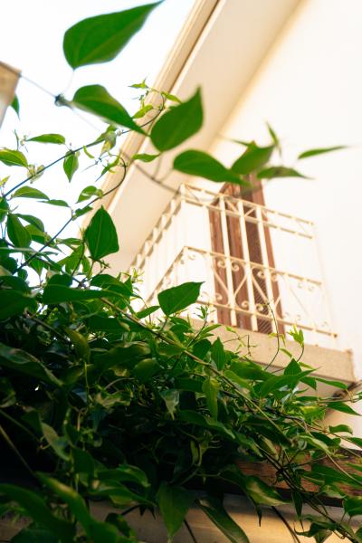 Imagem 18 da galeria do anúncio: Horizonte Coliving - Santa Tereza