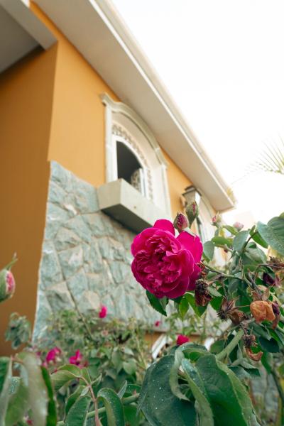 Imagem 4 da galeria do anúncio: Horizonte Coliving - Santa Tereza