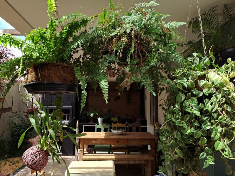 Imagem 20 da galeria do anúncio: 2 Quartos femininos com garagem – Conforto & Estilo