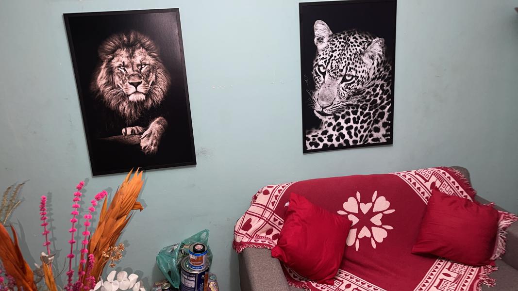 Imagem 18 da galeria do anúncio: Quarto completo individual